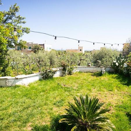 Green House Bed & Breakfast Monopoli Exterior photo